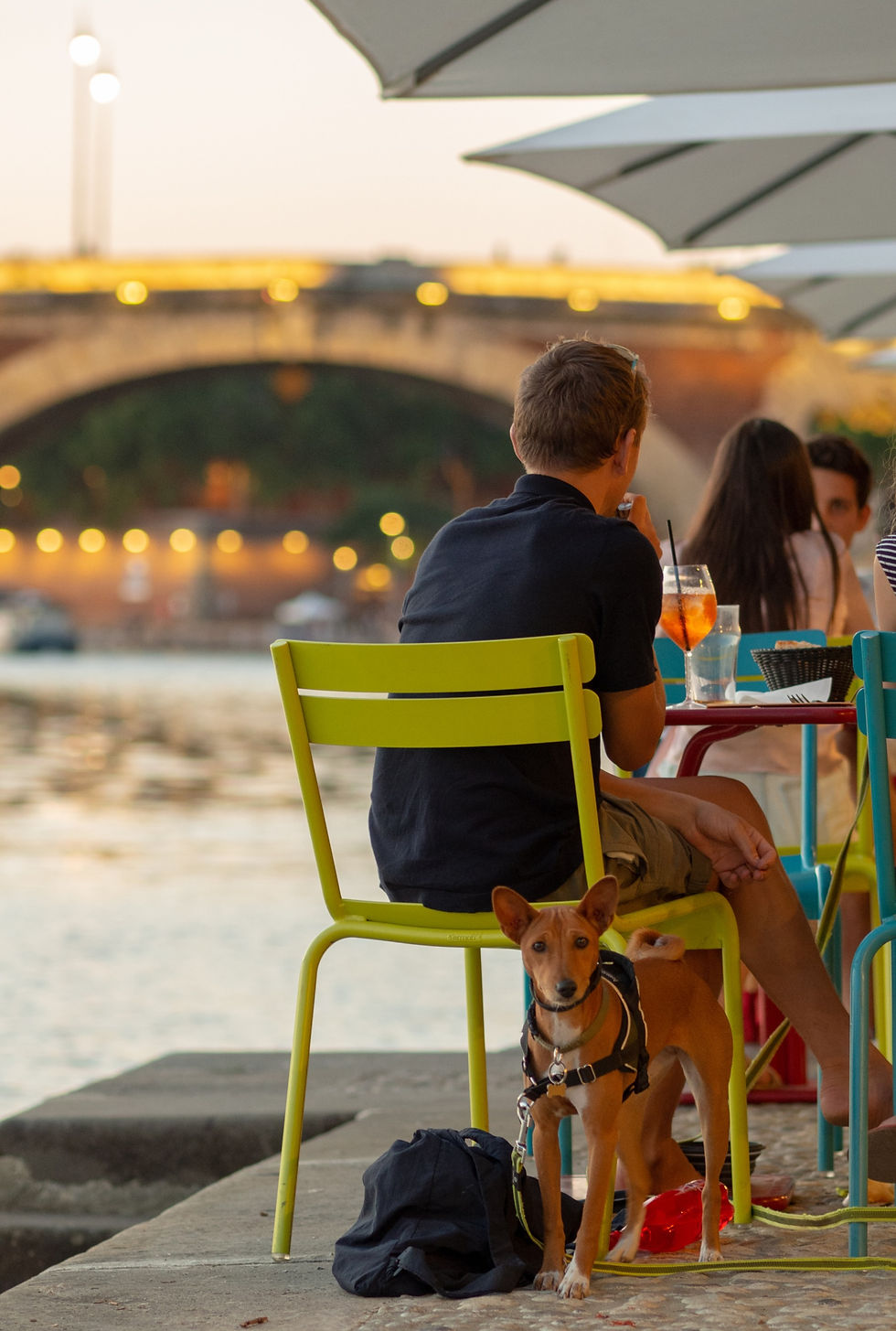 Boire ou conduire, il faut choisir...