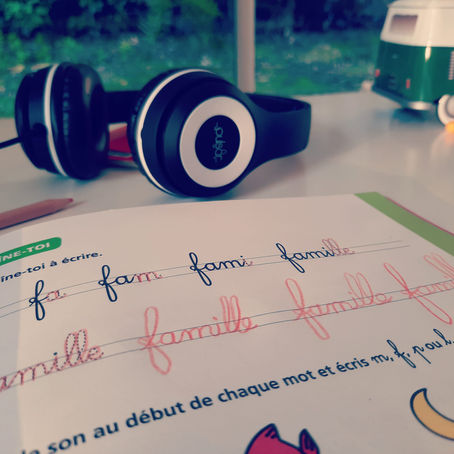 Fais pas ci, fais pas ça !