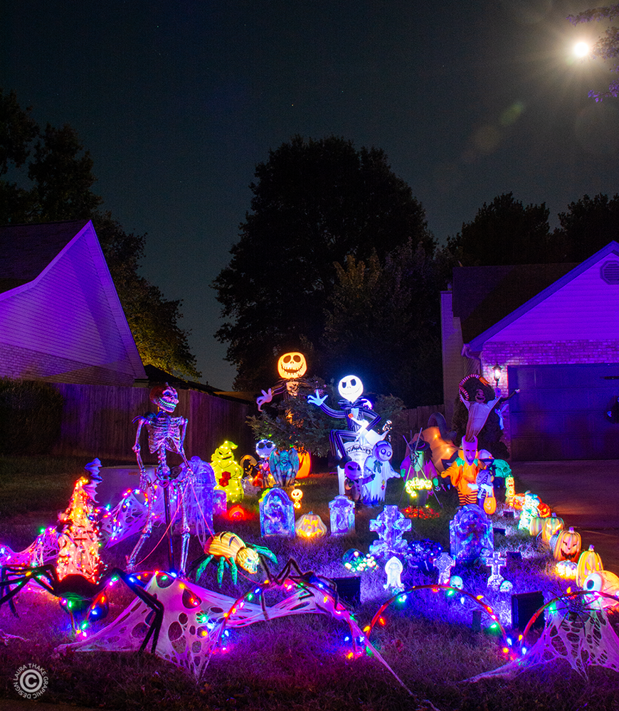 The Nightmare Before Christmas is well represented.