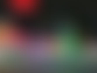 4 Elk Ridge Court, St. Charles MO 63304