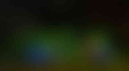 Christmas lights on a house and yard in Hazelwood MO.