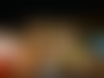 10225 Tesson Valley Court, Affton Mo. 63123