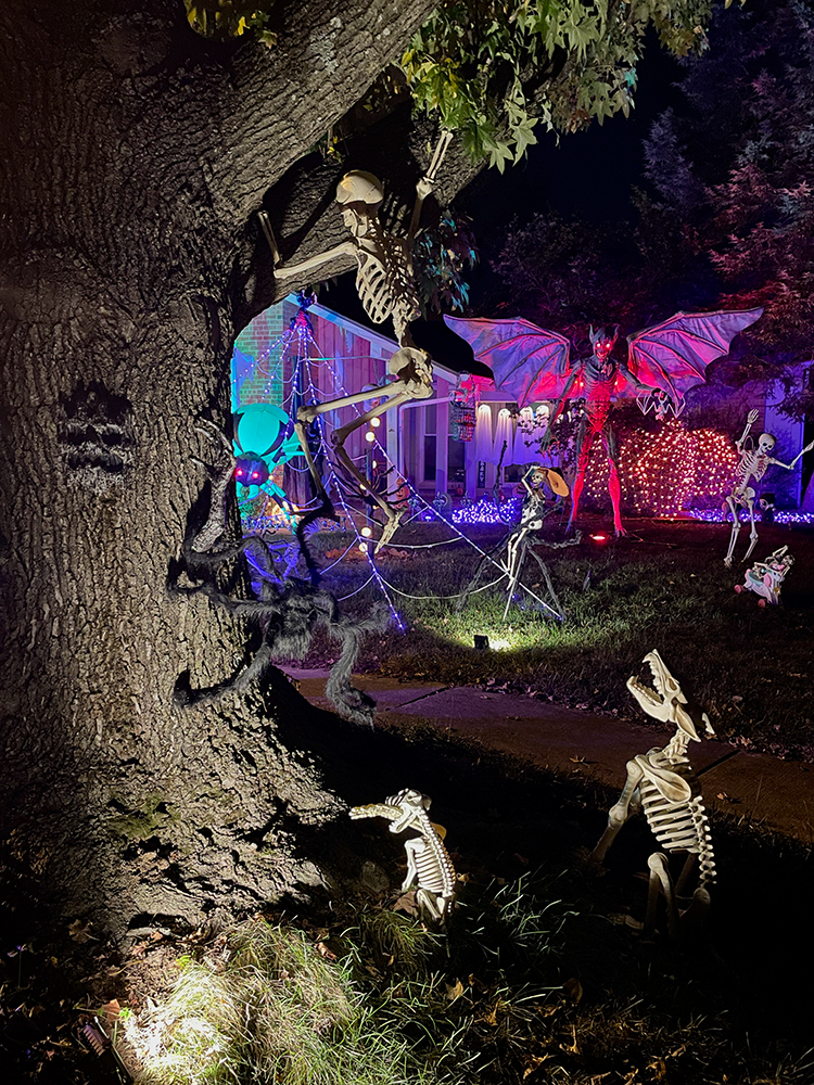 Skeleton dogs chasing the mailman up a tree.