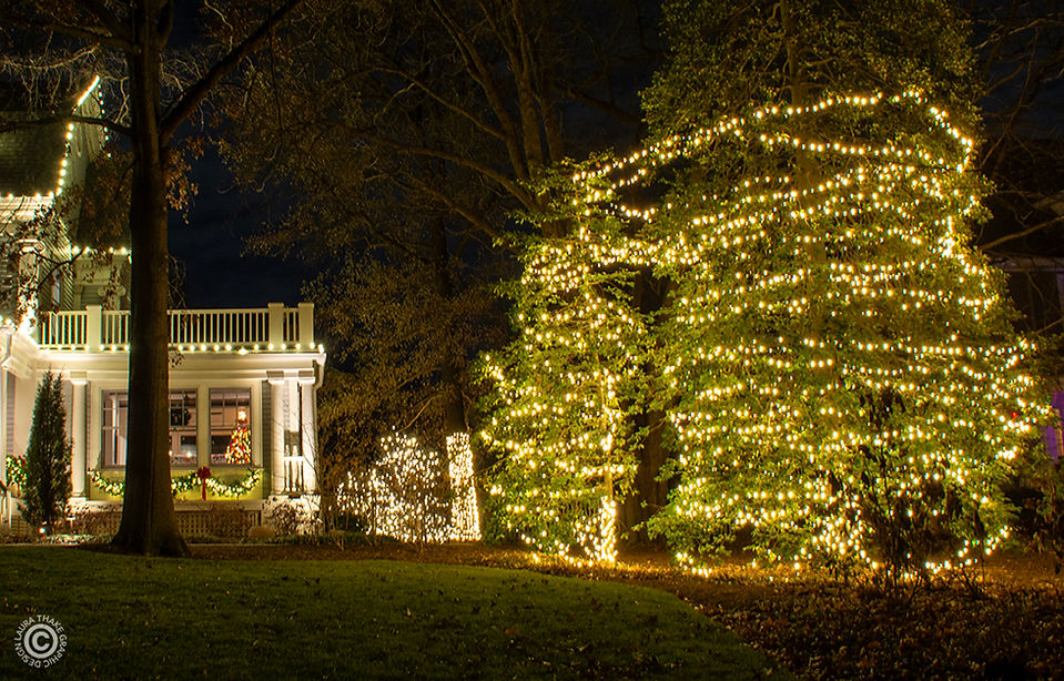 Wrinkling white lights in the trees and on the house.