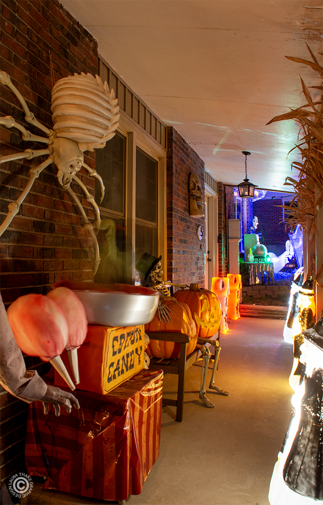 Enter the porch if you dare!