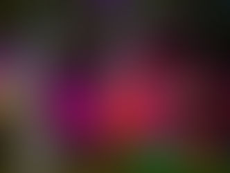 5918 Leona Street, St. Louis Mo. 63116