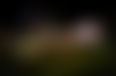 Merry Christmas in lights standing in front of an American flag in lights.