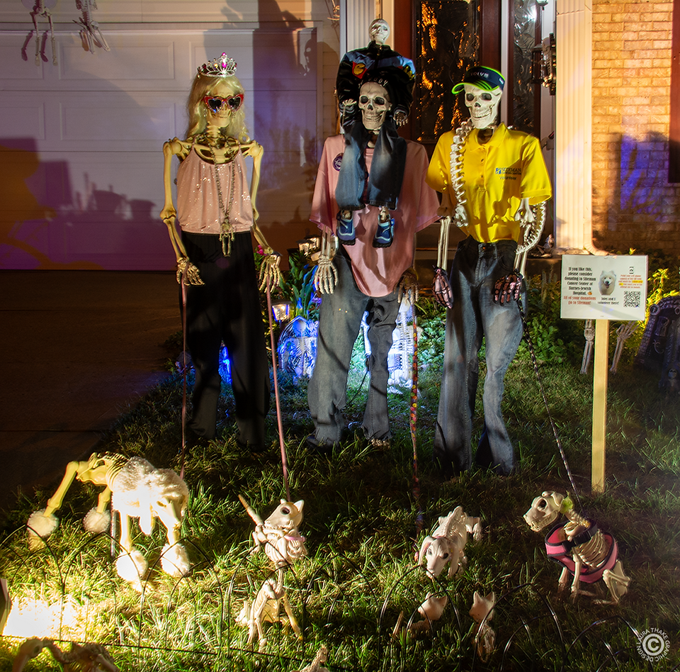 A pack of female skeleton dog walkers on Holiday Light Hopping.