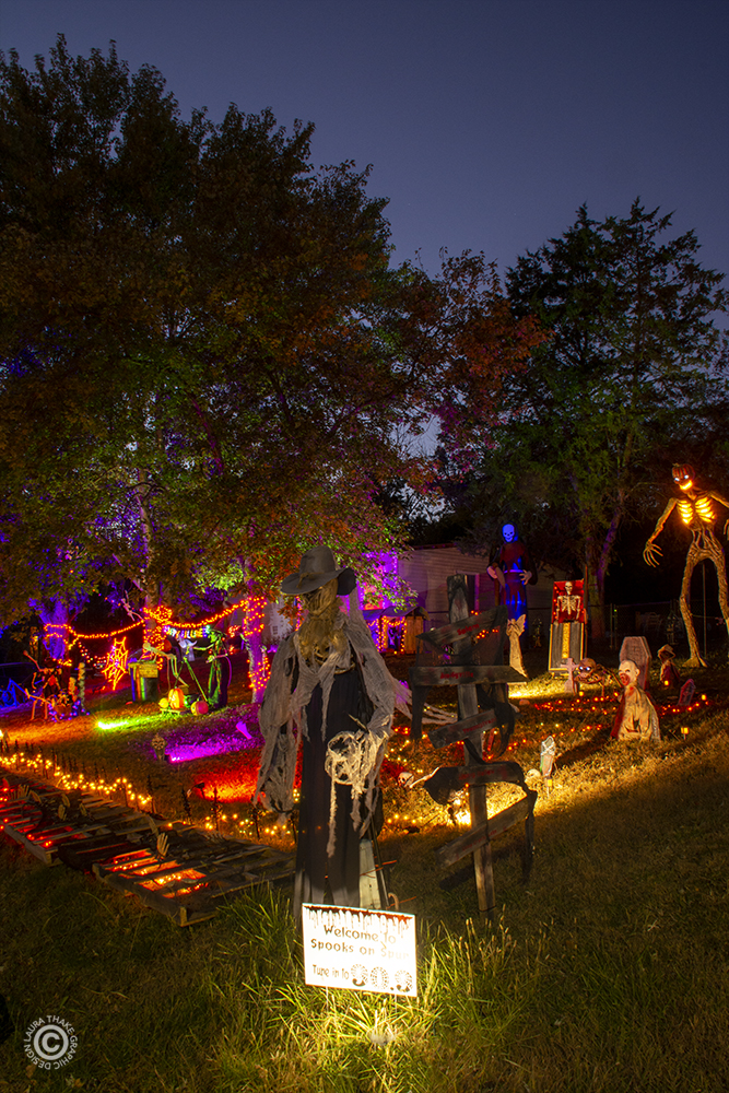 Tune in and listen to creepy halloween songs.