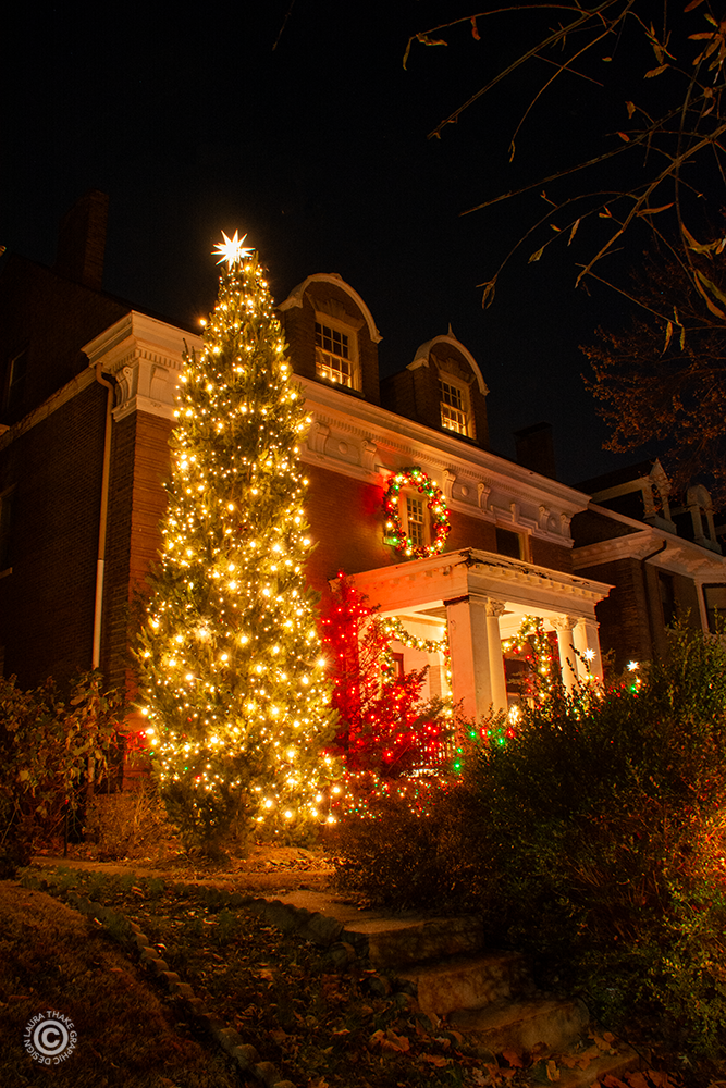 A tall blue spruce with white lights makes a pretty Christmas scene.