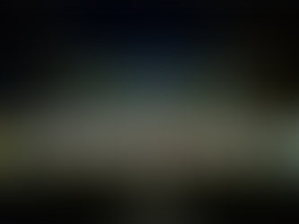 215 Oakwood Ave. Webster Groves MO 63119