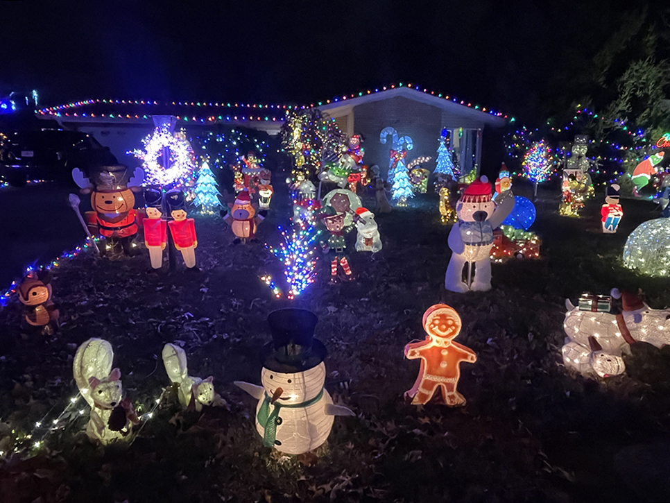 Come and see all the characters on this yard for Christmas!