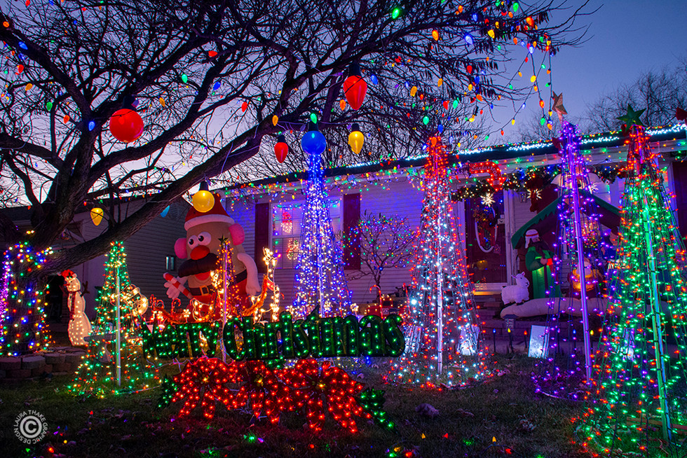 Little Christmas trees all over the front yard of a house in House Springs MO.