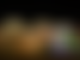 341 Wyndemere Drive, Lake St. Louis MO 63367