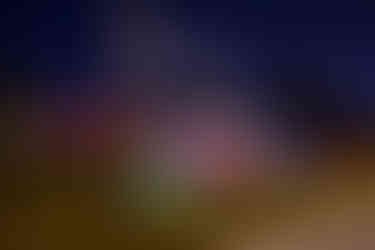 Don't forget to use the telephone poles near your yard.