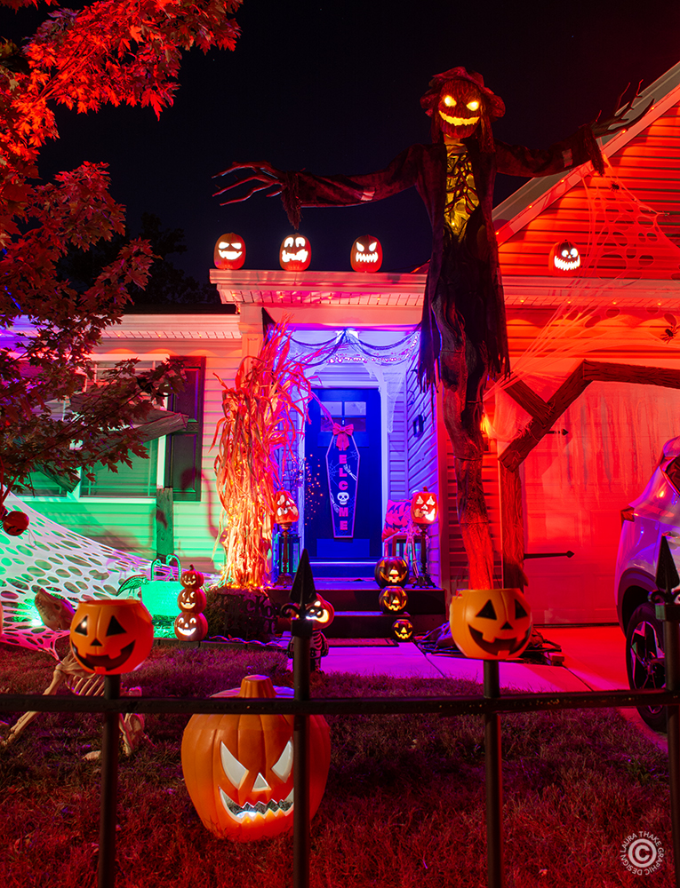 Great spider webs and scarecrows with pumpkins all around.
