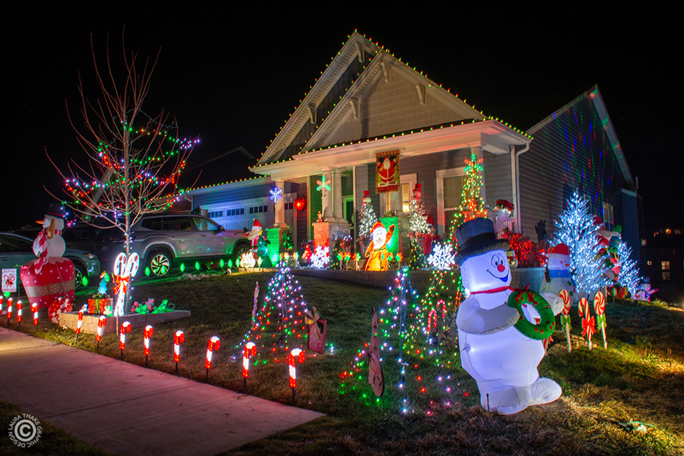 Christmas trees and lights will show you the way.