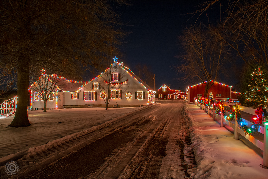 A Christmas farm covered in Christmas lights.