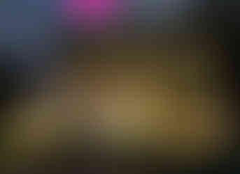 Easter decorations at a house in St. Louis MO on Holiday Light Hopping.