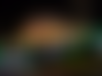 2835 Heather Wood Lane, Festus MO 63028