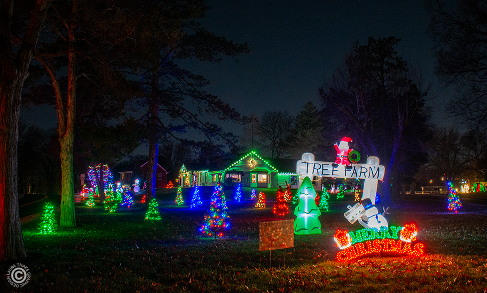 A Christmas tree lot where they are all lit up for your enjoyment.