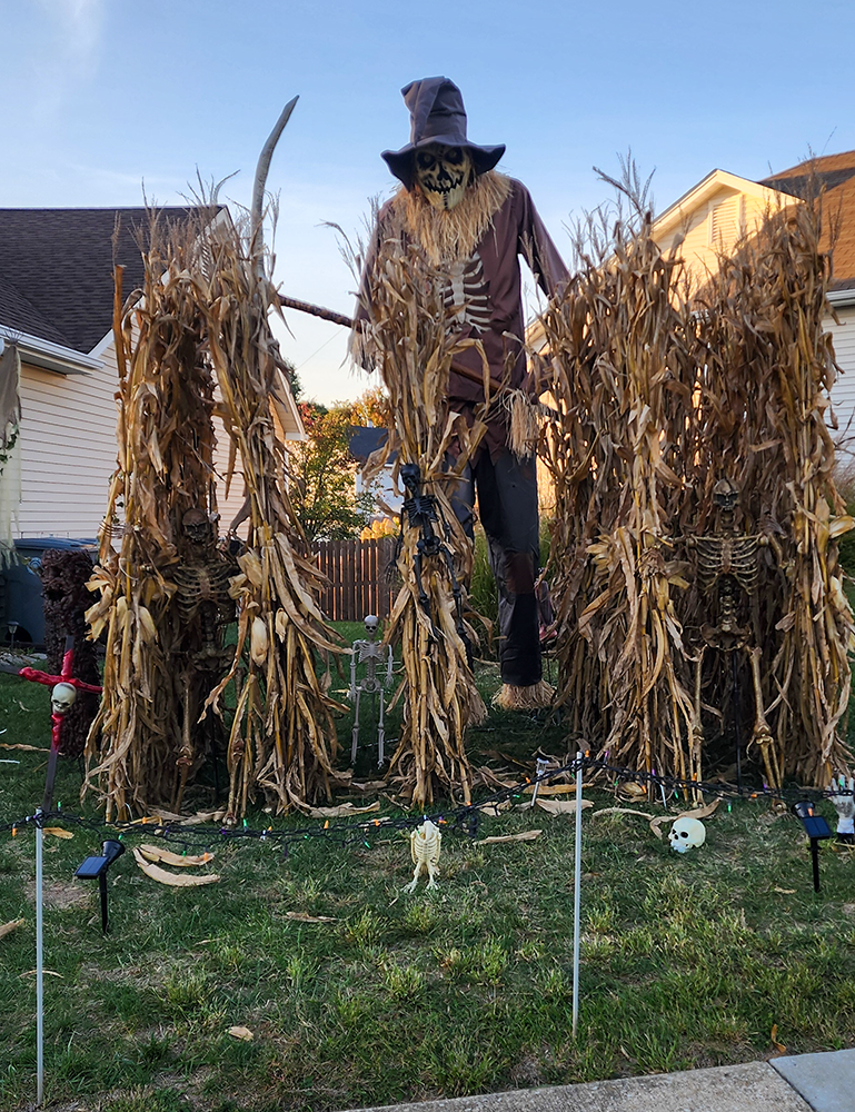 Even in the daytime this corn stalker would scare me and my dog.