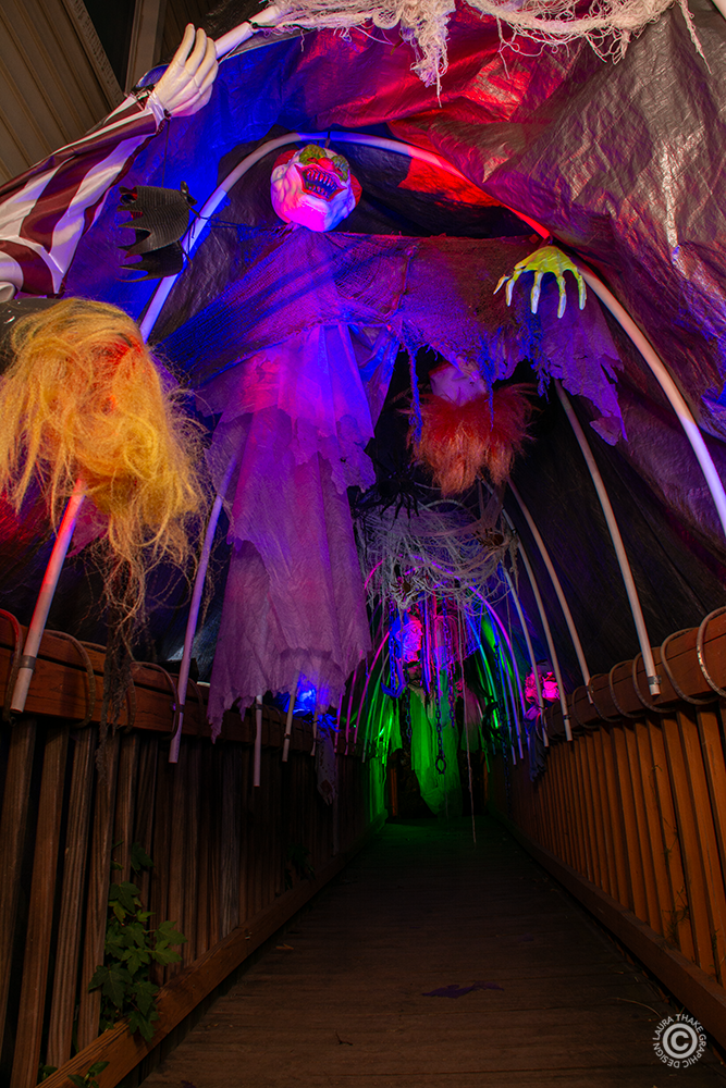A walk through tunnel of clowns and animatronics.
