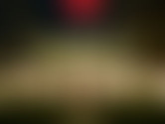 215 Oakwood Ave. Webster Groves MO 63119