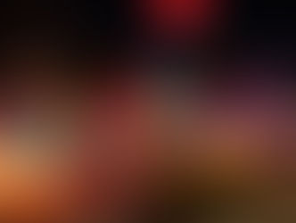 3841 Holly Hills Blvd. St. Louis MO 63116