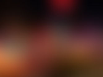 3841 Holly Hills Blvd. St. Louis MO 63116