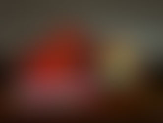 137 Bellerosa Drive, Des Peres MO. 63122