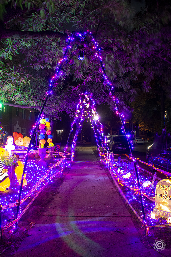 Purple Halloween arches at a house in University City MO.