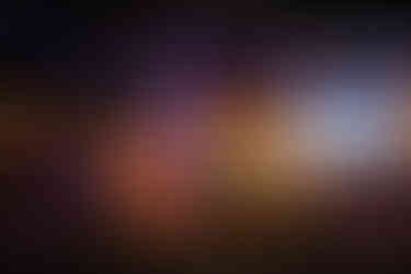 Christmas is going to the dogs at this house, there are so many puppies all over the place