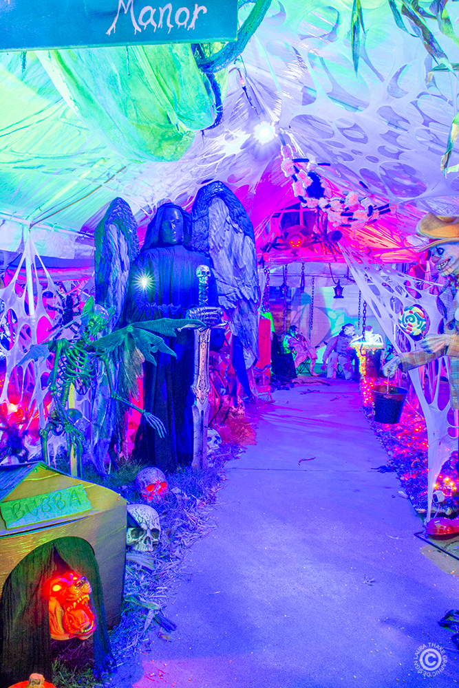 The scariest part, this tunnel you have to walk through to get to the front door and candy.