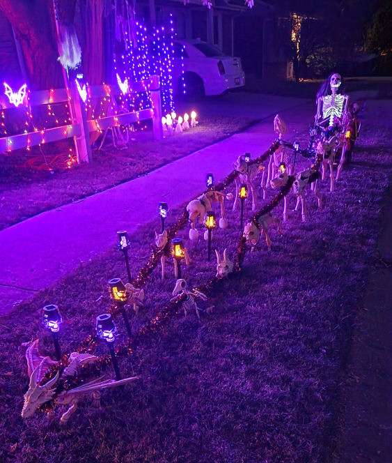 Is this a team of skeleton reindeer pulling a skeleton in a sleigh?