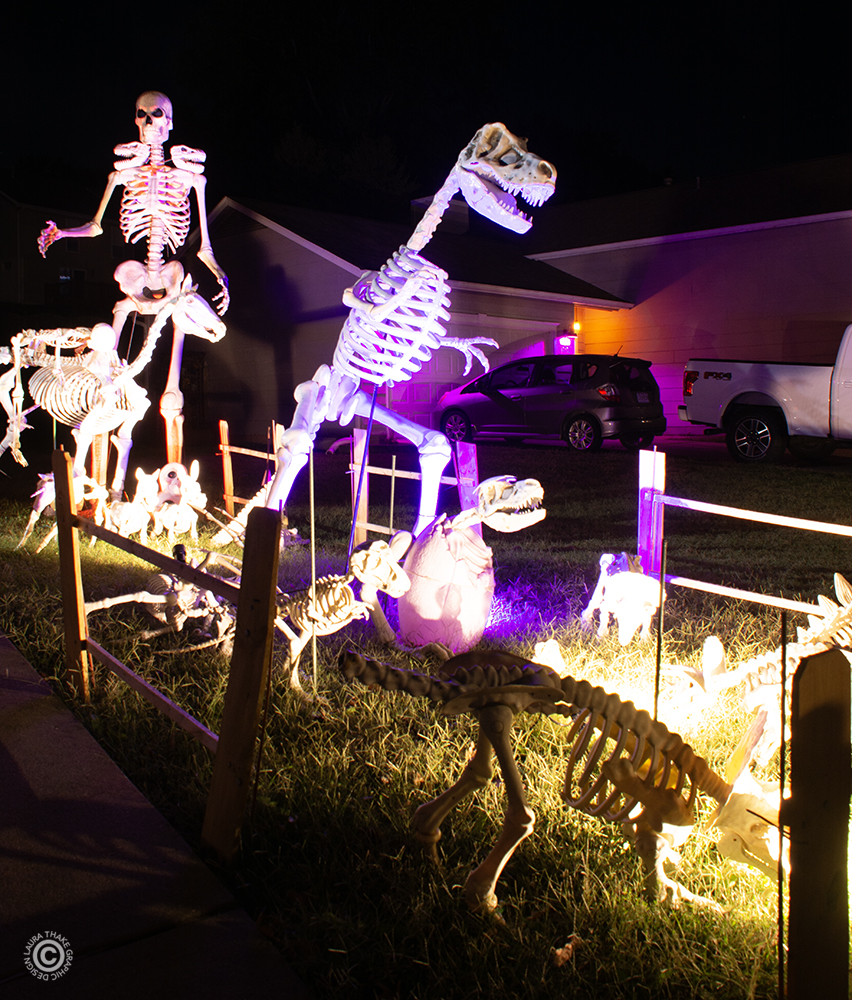 A dino skeleton grave yard.