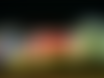 1344 Governors Run Ct. O’Fallon Mo. 63366