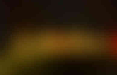 The landscape is covered in lit up trees that were custom made for them.