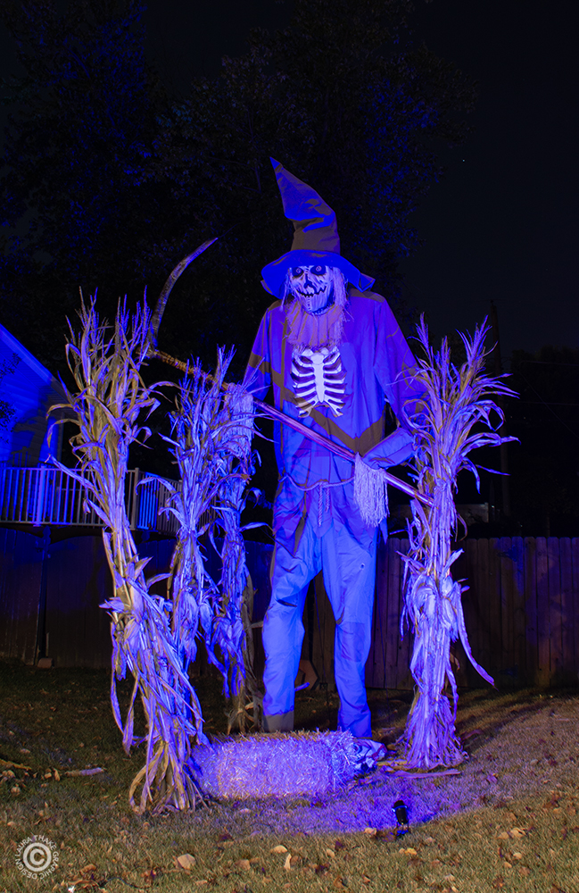The Scarecrow in the corn is really creepy.