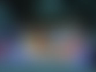 3968 Wright Avenue, St. Ann MO. 63074