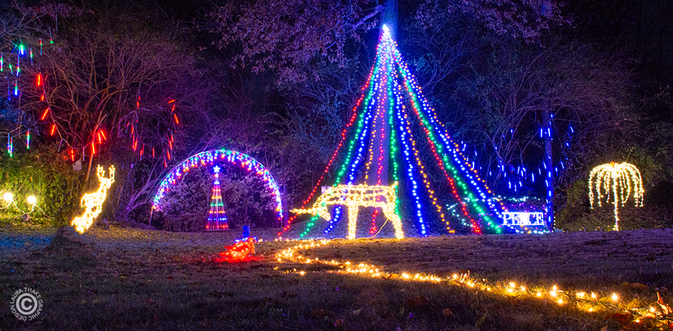 A pole tree of lights and reindeer sipping from a stream of lights.