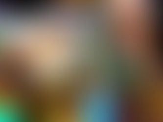 6006 Cardinal Creek Dr. Oakville, MO. 63129