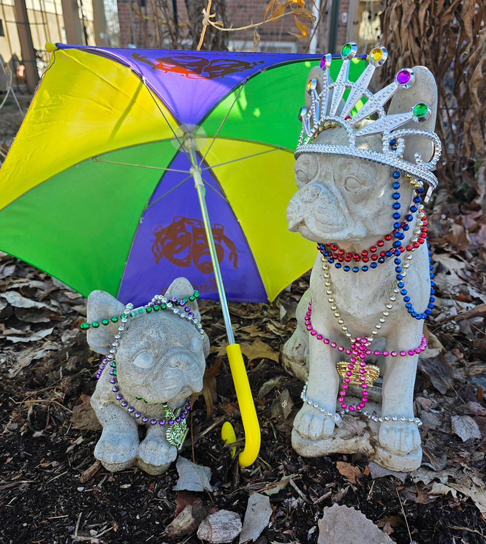 The dogs are even ready to Let the good times roll.