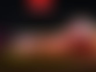 243 Bellemeade Dr., St. Peters Mo. 63376