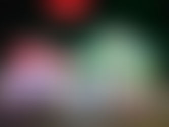 3504 Sutton Drive, St. Charles, Mo. 63301