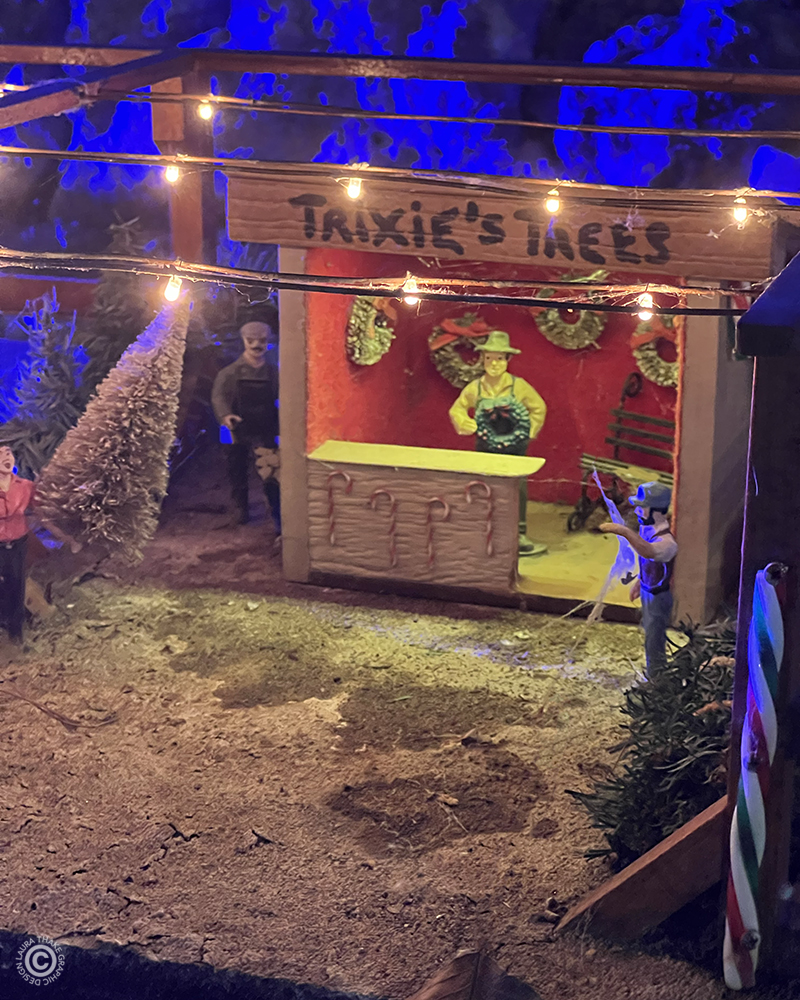 Trixie’s Christmas tree lot is selling trees and wreathes.