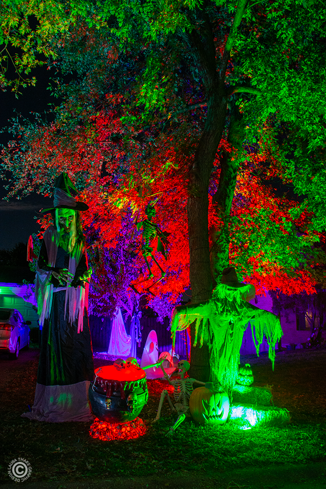 A coven of witches for Halloween night.