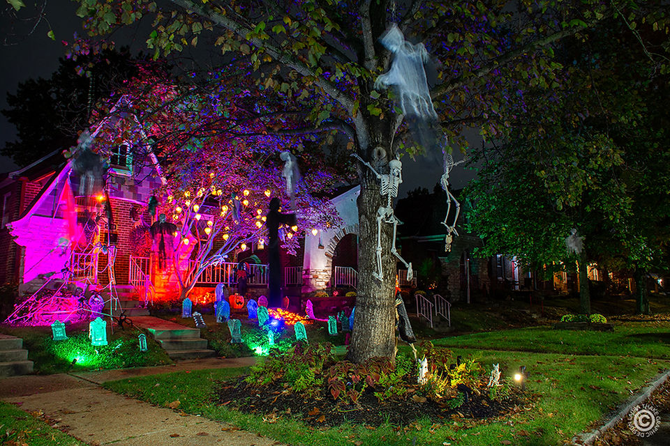 Look up in the tree to see the spooks swinging from the branches with the skeletons too!