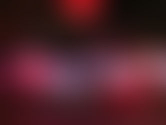 14425 Pembury Dr. Chesterfield MO 63017