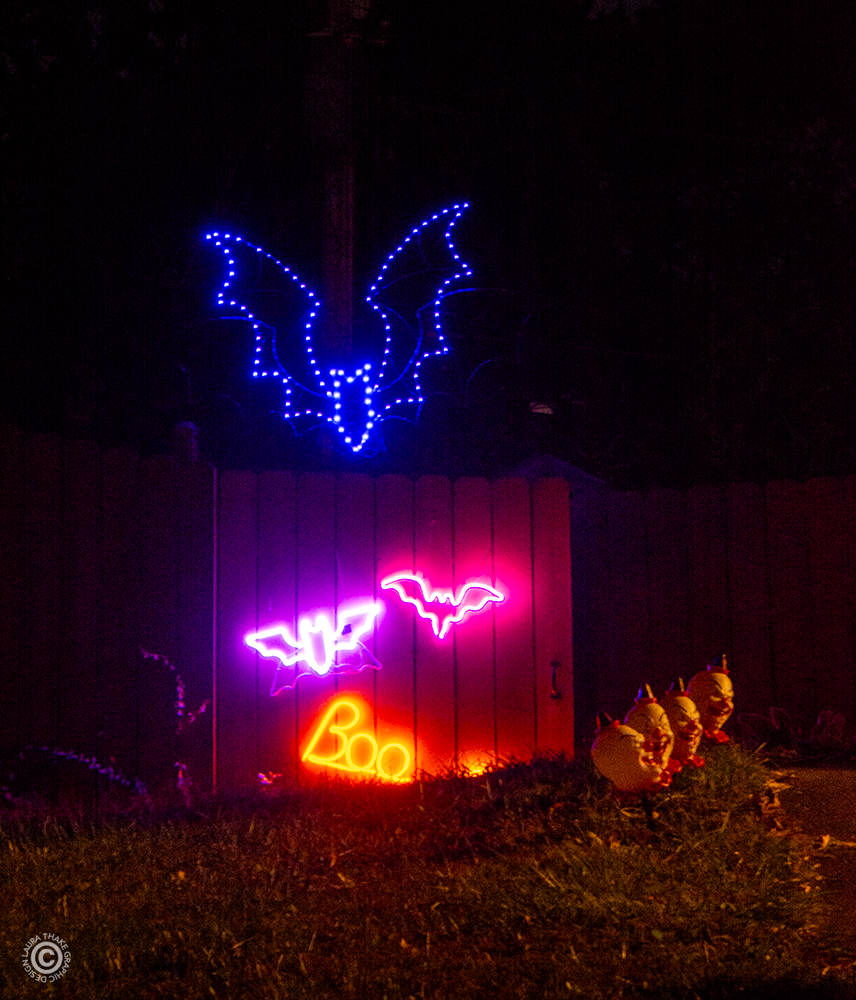 Fun neon bats on the side fence.